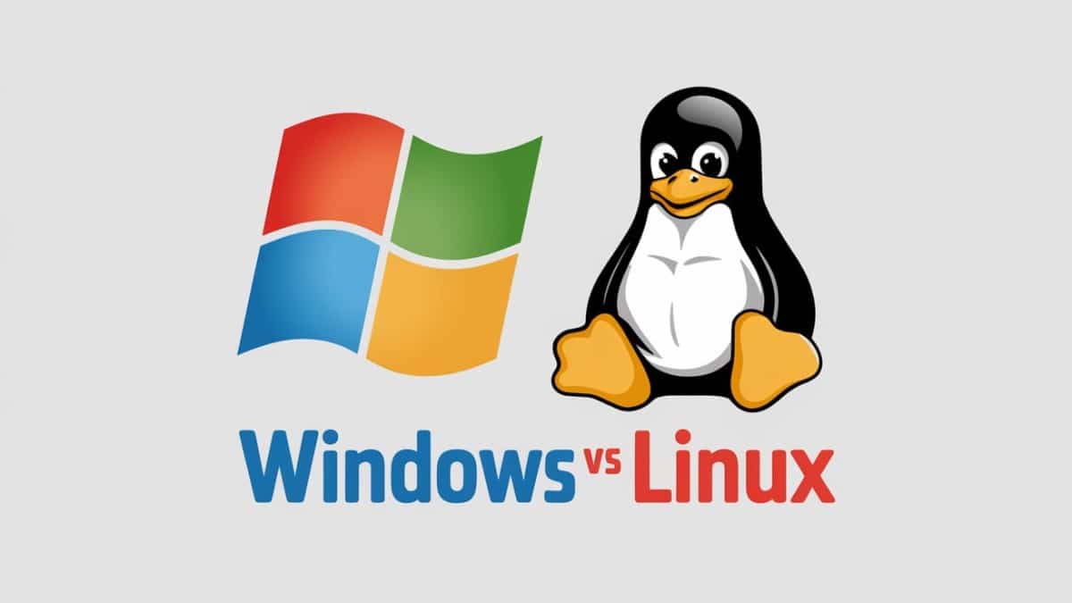 Comparaison Windows vs Linux